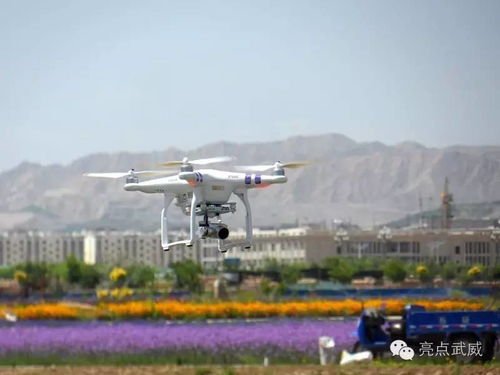 紫金花城，浪漫金昌 楼宇智能化工程绘就现代宜居新画卷